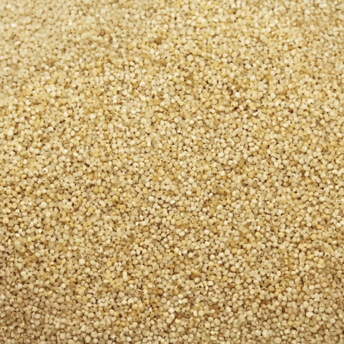 Barnyard Millet - Kuthiraivali