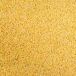 Foxtail Millet - Thinai