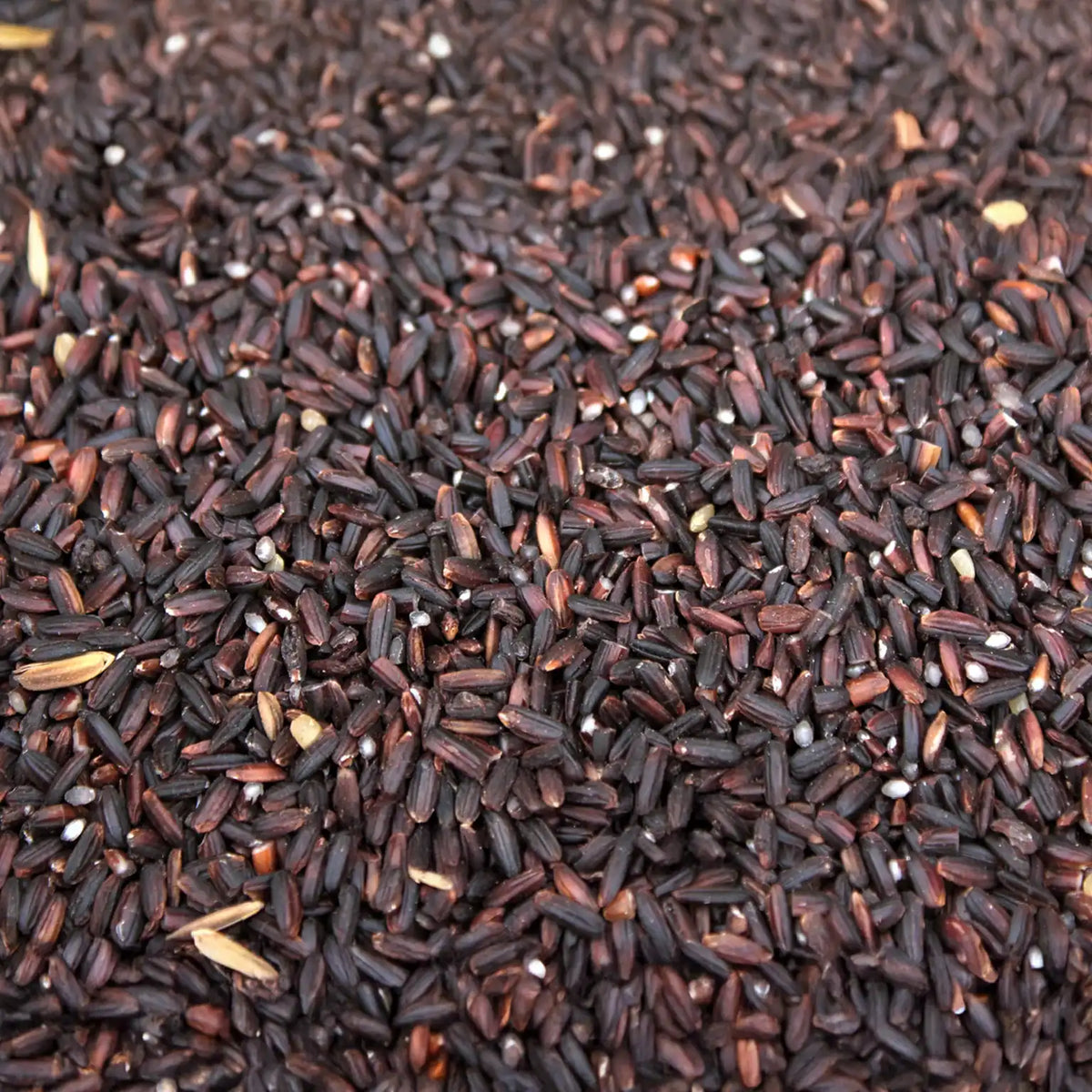 Karuppu Kavuni Rice - Black Kavuni Rice