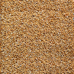 Kodo millet - Varagu