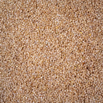 Little Millet - Samai