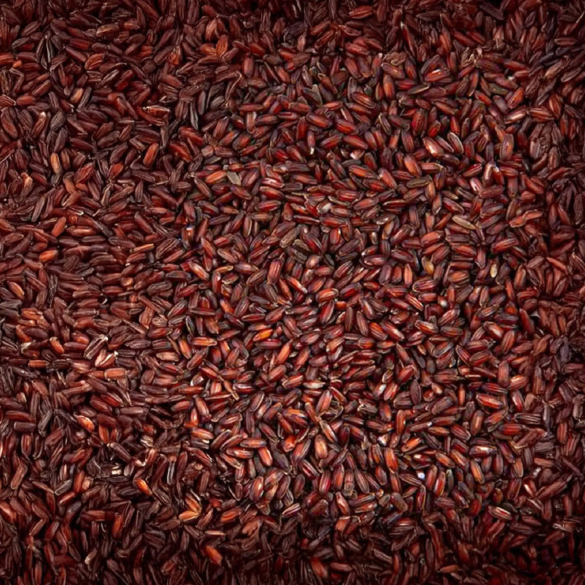 Mappilai Samba Rice - Bridegroom Rice