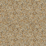 Native Pearl Millet - Nattu Kambu