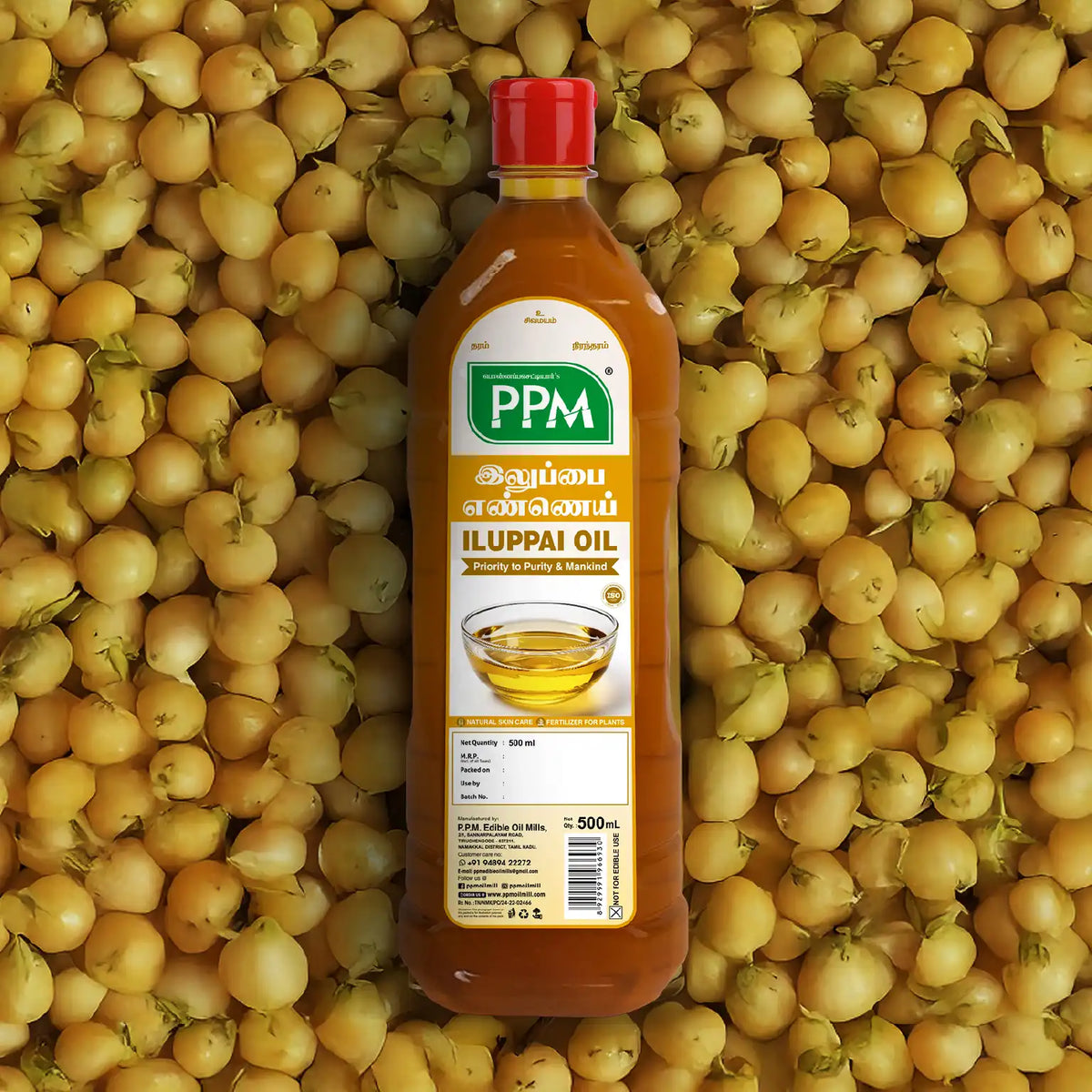 Cold Pressed Illupai Oil