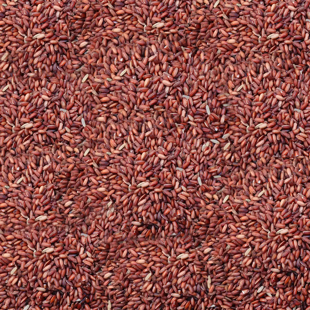 Poongar Rice - Women's Rice