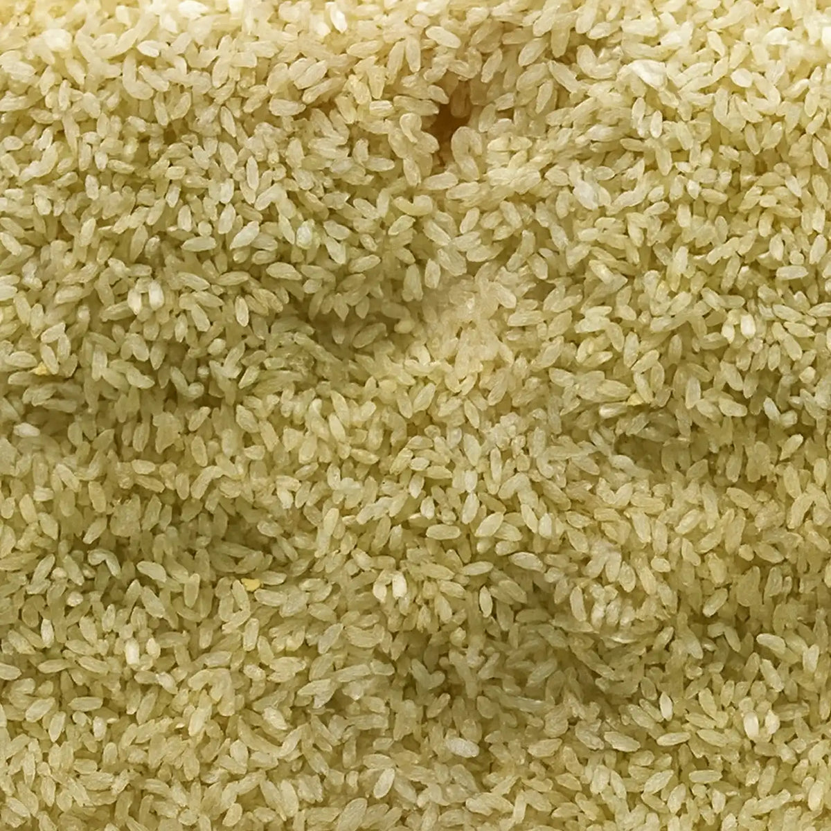 Seeragasamba Rice - Jeera Samba Rice