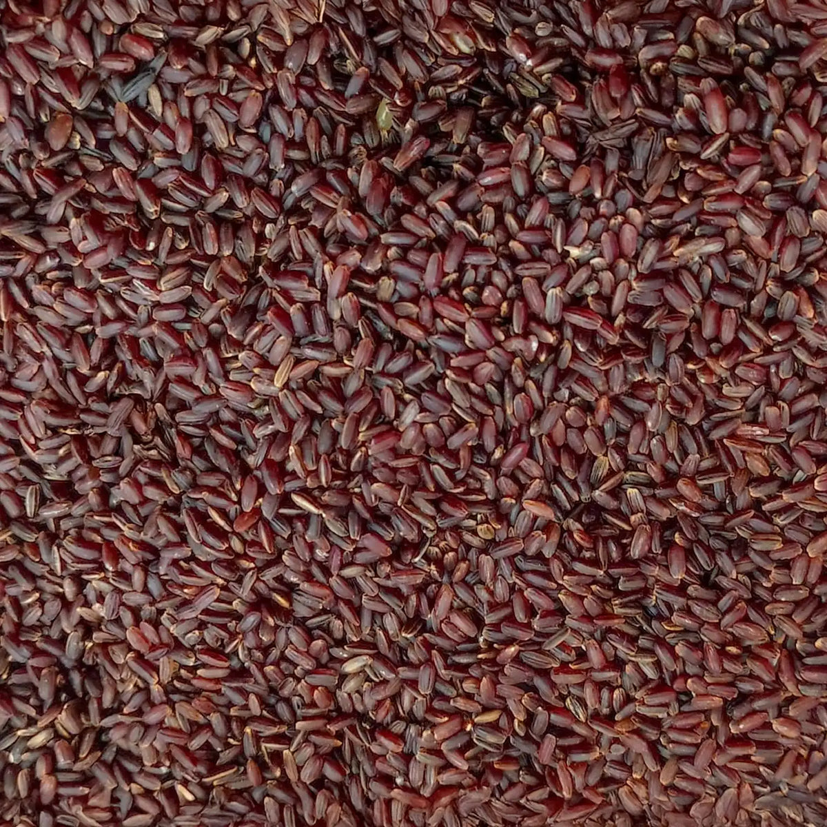 Karunkuruvai Rice - Black Kuruvai Rice