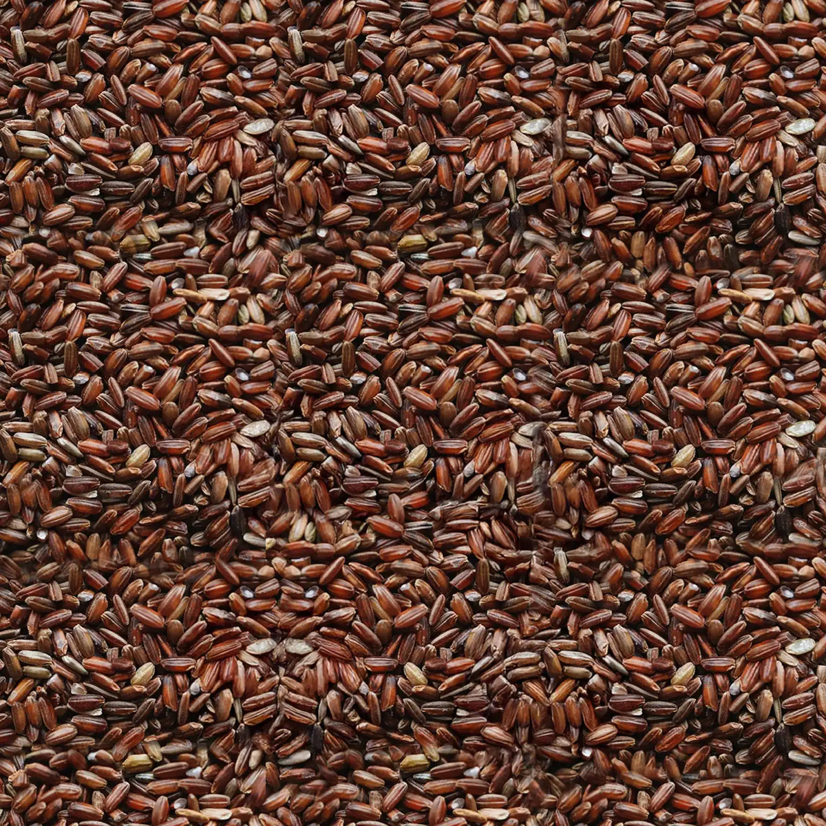 Kattuyanam Rice