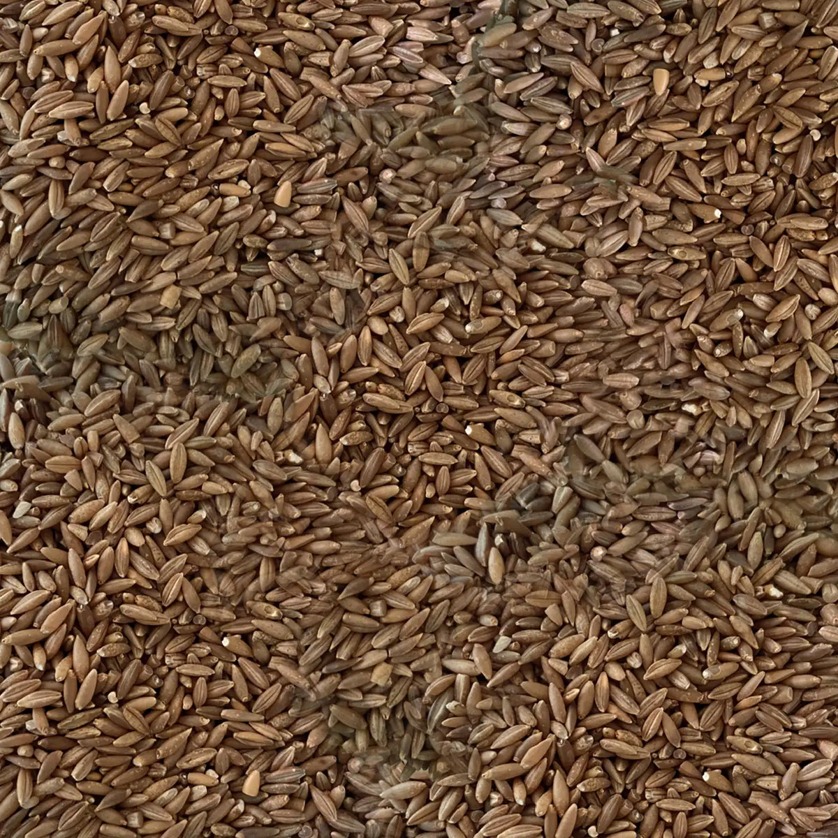 Moongil Rice - Bamboo Rice