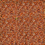 Red Sorghum - Red Cholam