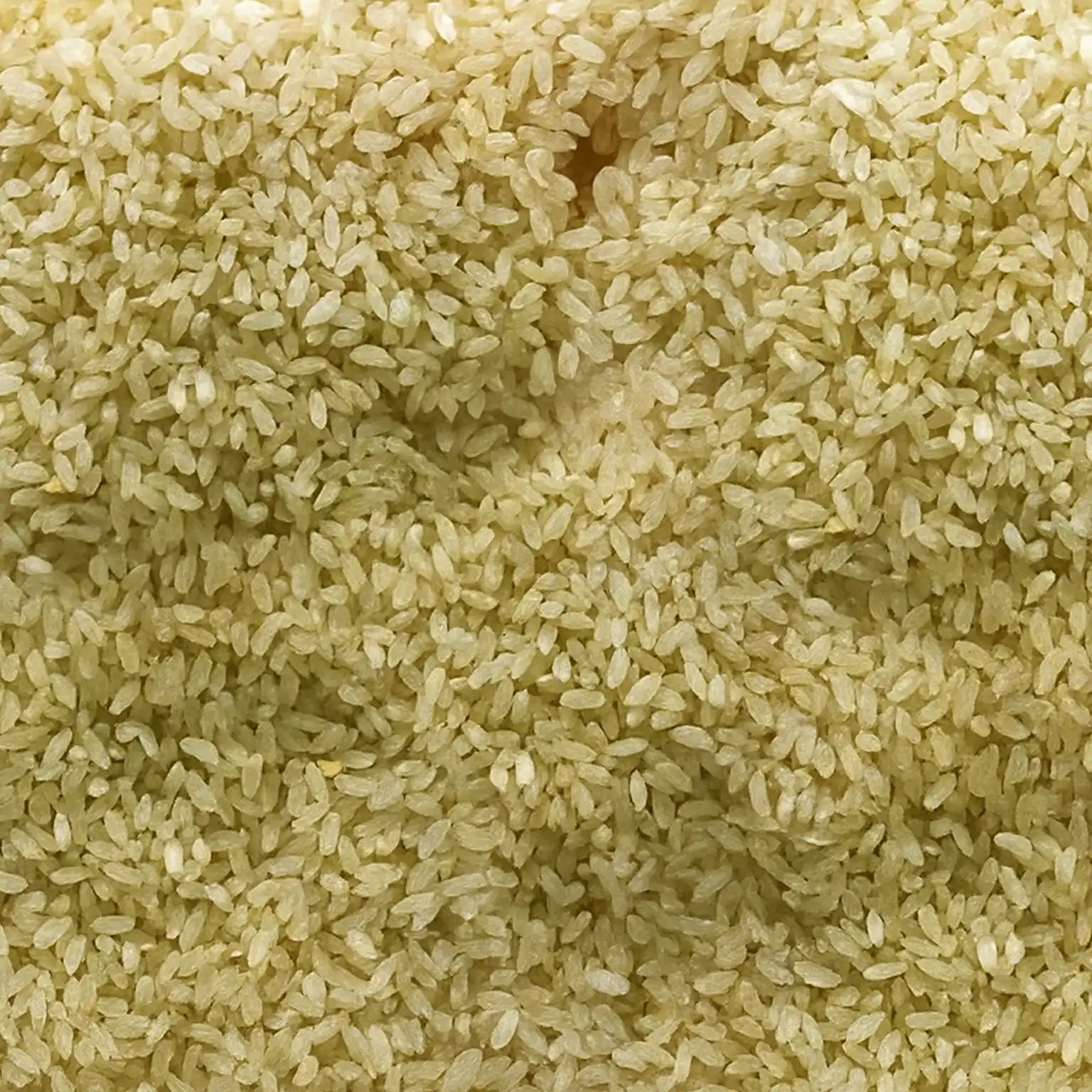 Seeraga Samba Rice | Jeeraga Samba | Jeera Biryani Rice? PPM ...