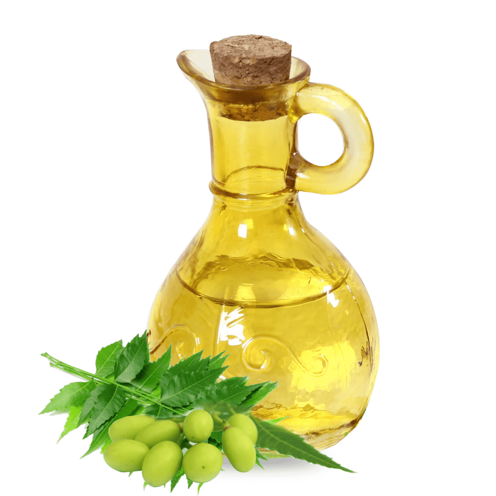 Cold Pressed Neem Oil